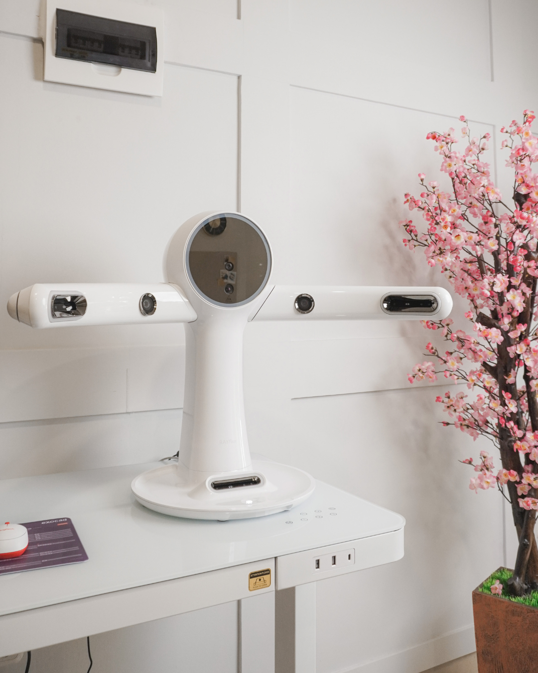 Rayface Scanner
